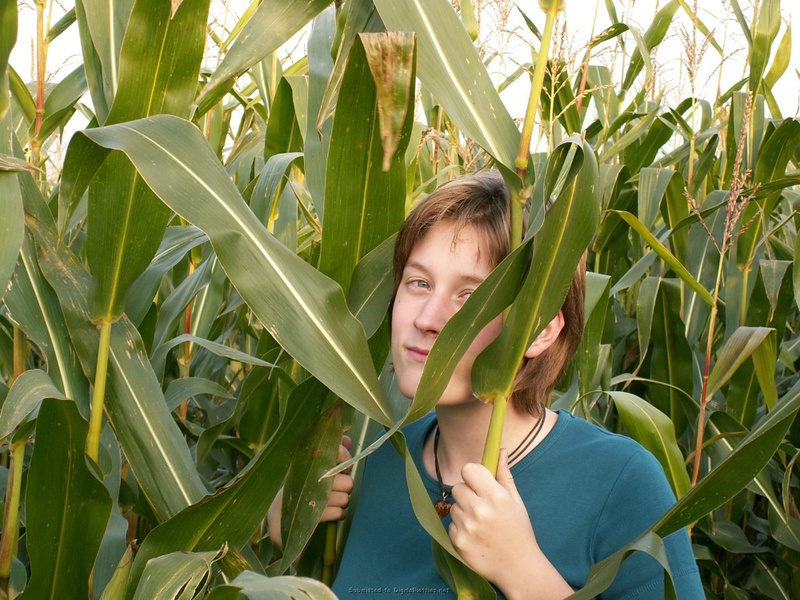 18летная девушка из деревни трахает киску кукурузой в поле - секс порно фото
